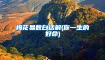 梅花易数白话解(你一生的好命)