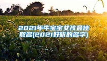 2021年牛宝宝女孩最佳取名(2021好听的名字)