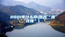 2001年什么命(原名“张玫瑰”)