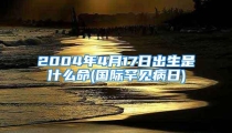 2004年4月17日出生是什么命(国际罕见病日)