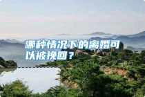 哪种情况下的离婚可以被挽回？