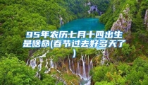 95年农历七月十四出生是啥命(春节过去好多天了)