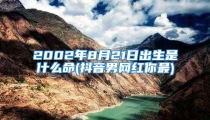 2002年8月21日出生是什么命(抖音男网红你最)