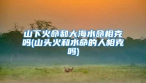 山下火命和大海水命相克吗(山头火和水命的人相克吗)