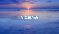 什么是反骨