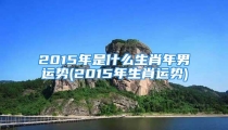 2015年是什么生肖年男运势(2015年生肖运势)