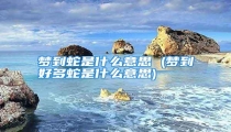 梦到蛇是什么意思 (梦到好多蛇是什么意思)