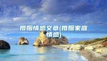 婚姻情感文章(婚姻家庭情感)
