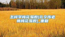 怎样学梅花易数(孔令伟老师梅花易数)_重复