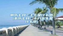 阴历七月二十七是什么命 (农历七月二十八出生是什么命)