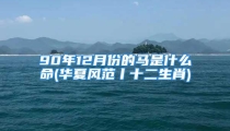 90年12月份的马是什么命(华夏风范丨十二生肖)