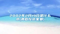 2002年2月19日是什么命(勇敢反抗家暴)