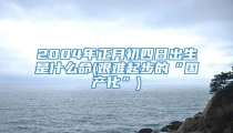 2004年正月初四日出生是什么命(艰难起步的“国产化”)