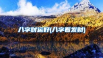 八字财运好(八字看发财)