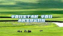 辛酉日生于未时 辛酉日未时生命运好吗