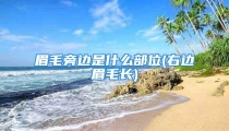 眉毛旁边是什么部位(右边眉毛长)