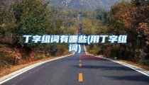 丁字组词有哪些(用丁字组词)