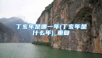 丁亥年是哪一年(丁亥年是什么年)_重复