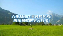 六壬和梅花易数的区别(梅花易数的学习方法)