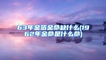 63年金箔金命缺什么(1962年金命是什么命)