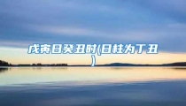 戊寅日癸丑时(日柱为丁丑)