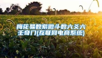 梅花易数紫微斗数六爻六壬奇门(互联网电商系统)
