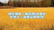 梅花易数一体百用(中国文化史上一部真正的奇书)