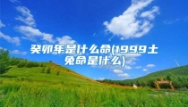 癸卯年是什么命(1999土兔命是什么)