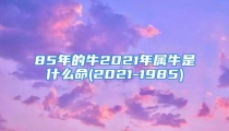 85年的牛2021年属牛是什么命(2021-1985)