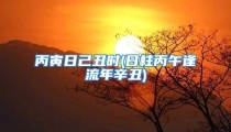 丙寅日己丑时(日柱丙午逢流年辛丑)