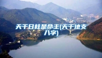 天干日柱是命主(天干地支八字)