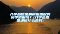 八字合婚里的属相婚配有科学依据吗?(八字合婚是通过什么合的)