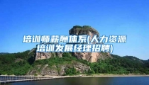 培训师薪酬体系(人力资源培训发展经理招聘)