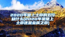 2020年壁上土命的五行缺什么(2020年是壁上土命还是金属之命)
