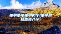 壬子壬子壬子丙午(壬子日柱富贵八字)