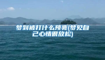 梦到被打什么预兆(梦见自己心情很放松)