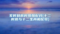 亥时和辰时婚姻配对(十二时辰与十二生肖相配歌)