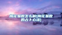 梅花易数怎么解(梅花易数的占卜心法)