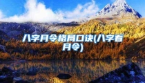 八字月令格局口诀(八字看月令)
