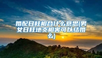 婚配日柱相合什么意思(男女日柱地支相害可以结婚么)