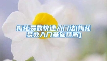 梅花易数快速入门法(梅花易数入门基础精解)