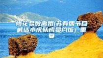 梅花易数离婚(苏有朋节目喊话小虎队成员约饭)_重复