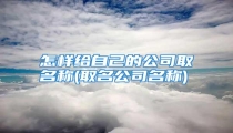 怎样给自己的公司取名称(取名公司名称)