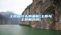 土命和什么命最配(土命与土命相合吗)