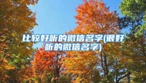 比较好听的微信名字(很好听的微信名字)