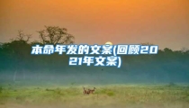 本命年发的文案(回顾2021年文案)