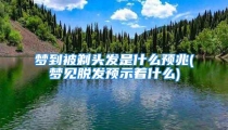 梦到被剃头发是什么预兆(梦见脱发预示着什么)