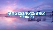 婆媳关系姑嫂关系(婆媳关系的句子)