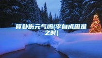 算卦伤元气吗(李自成困难之时)