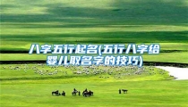 八字五行起名(五行八字给婴儿取名字的技巧)